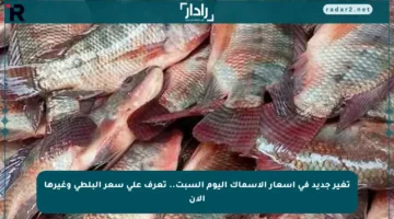 تغير جديد في أسعار الأسماك اليوم السبت.. تعرف على سعر البلطي وغيرها الآن